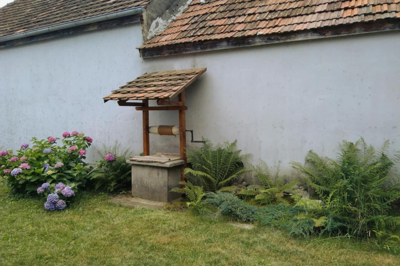 Galeria Turismului Montan Guest House Cîrţişoara Екстериор снимка