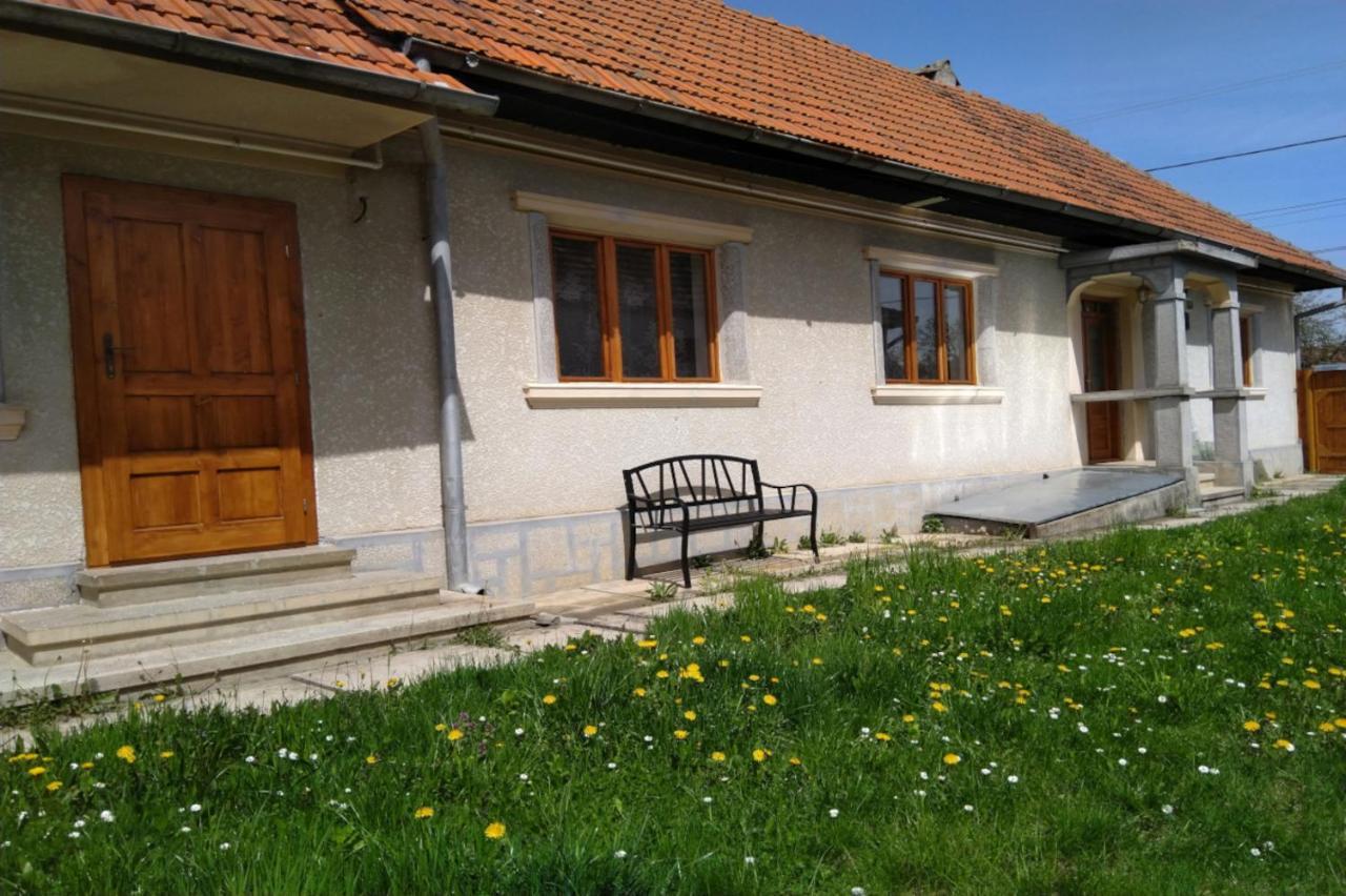 Galeria Turismului Montan Guest House Cîrţişoara Екстериор снимка