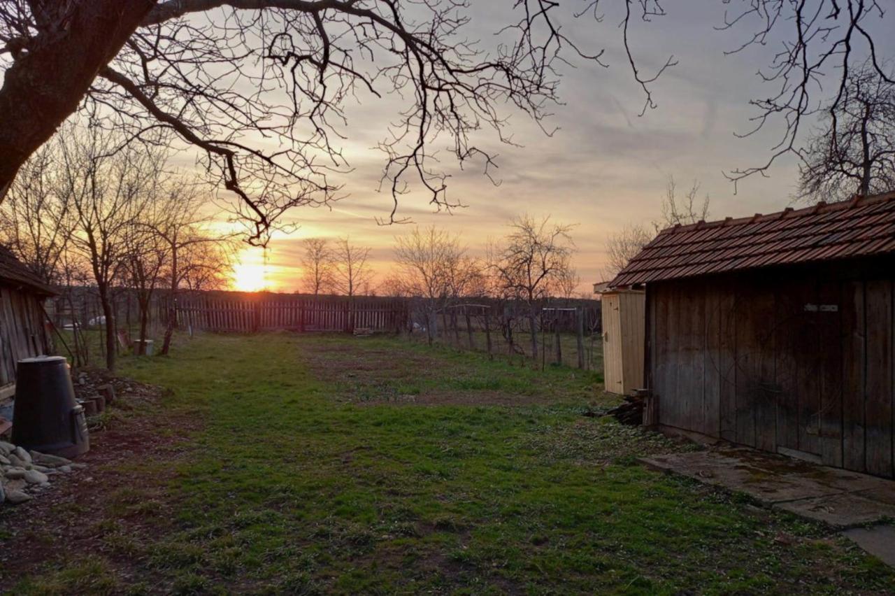 Galeria Turismului Montan Guest House Cîrţişoara Екстериор снимка