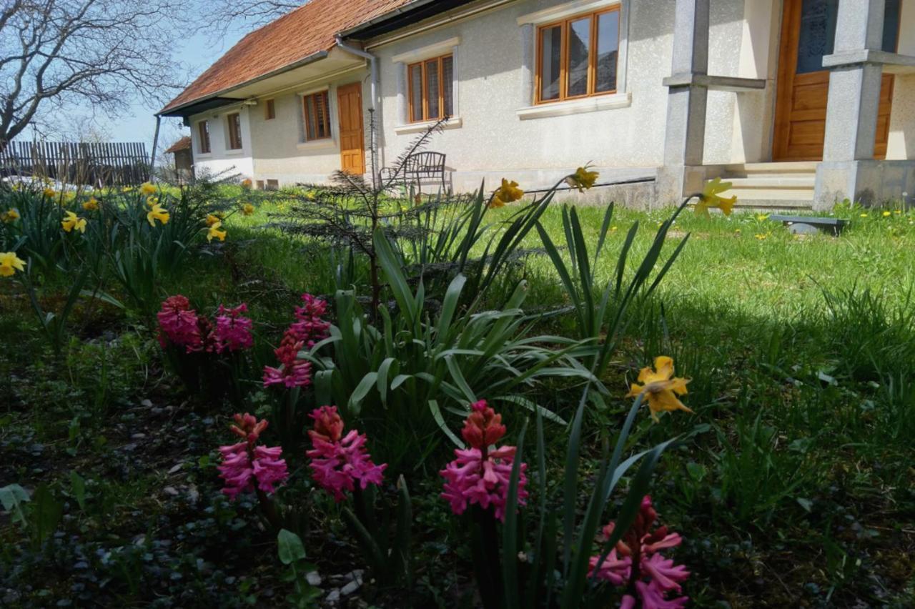 Galeria Turismului Montan Guest House Cîrţişoara Екстериор снимка