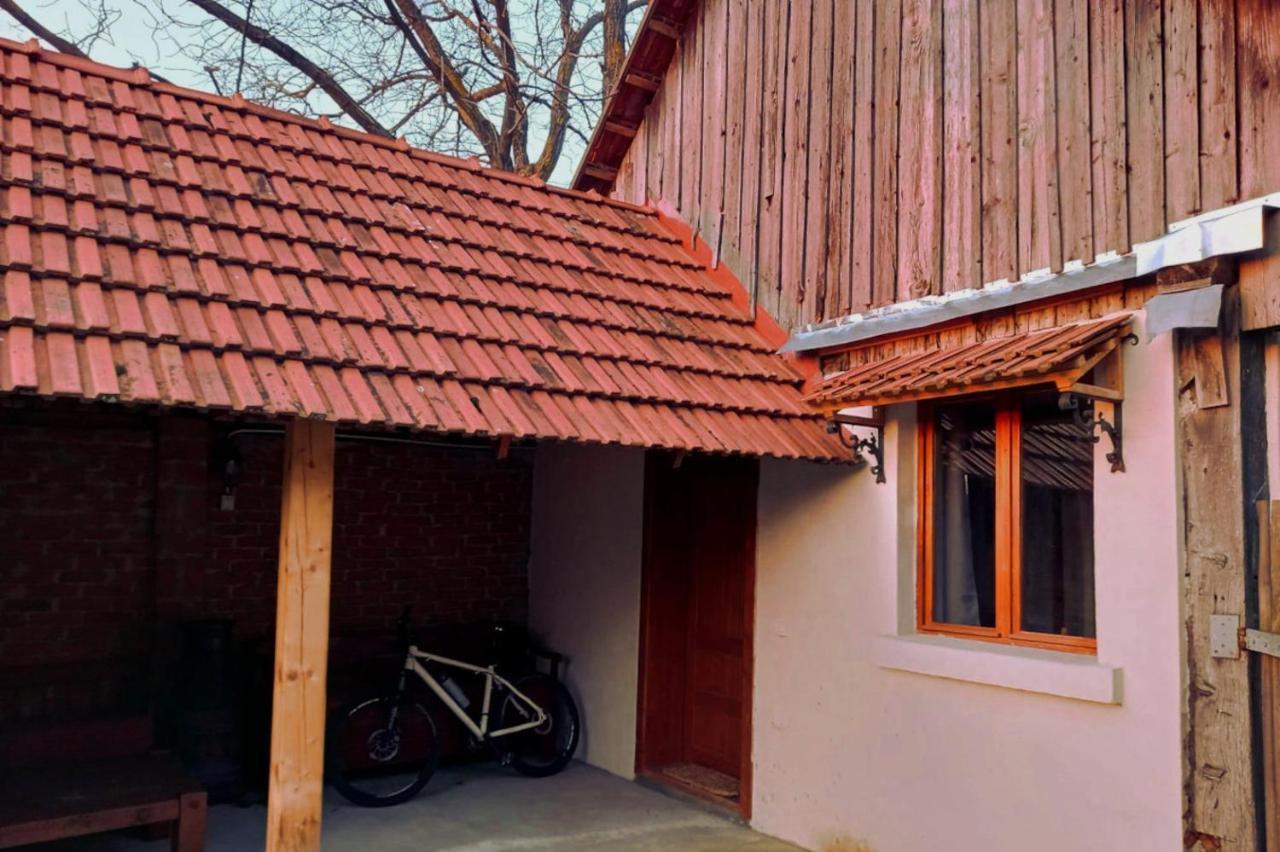 Galeria Turismului Montan Guest House Cîrţişoara Екстериор снимка