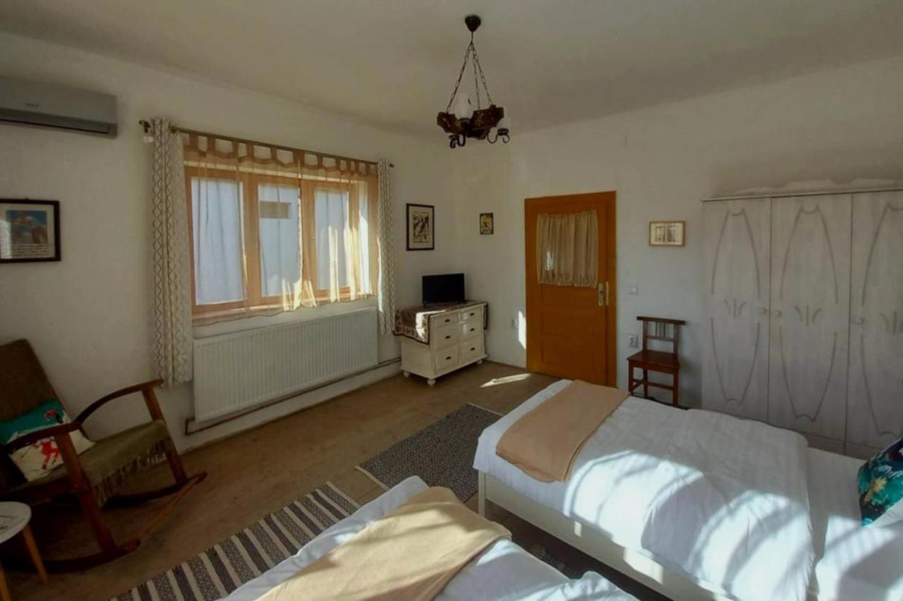 Galeria Turismului Montan Guest House Cîrţişoara Екстериор снимка